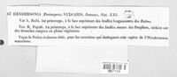 Hendersonia vulgaris image